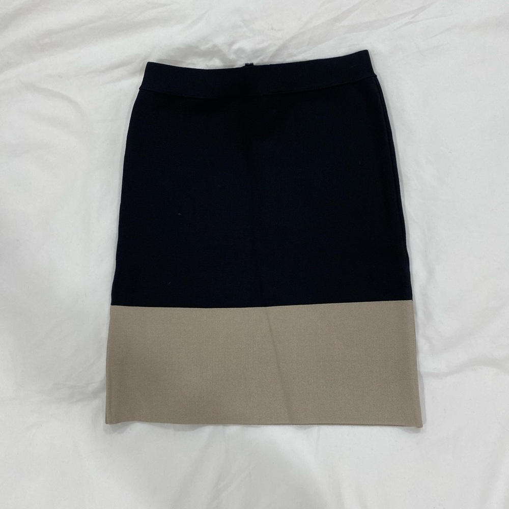 Bcbg skirt